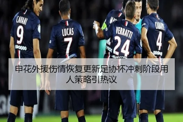 申花外援伤情恢复更新足协杯冲刺阶段用人策略引热议
